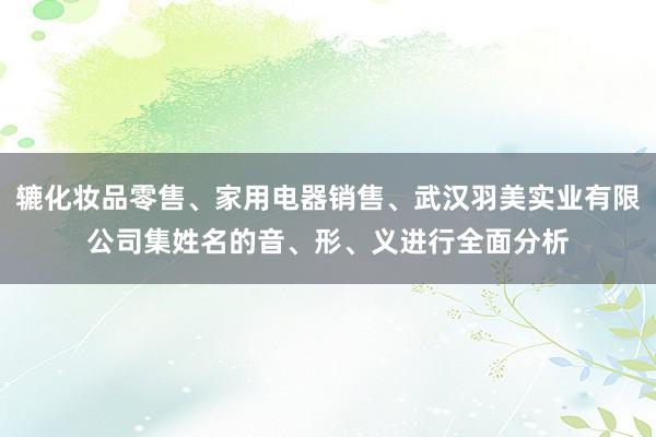 辘化妆品零售、家用电器销售、武汉羽美实业有限公司集姓名的音、形、义进行全面分析