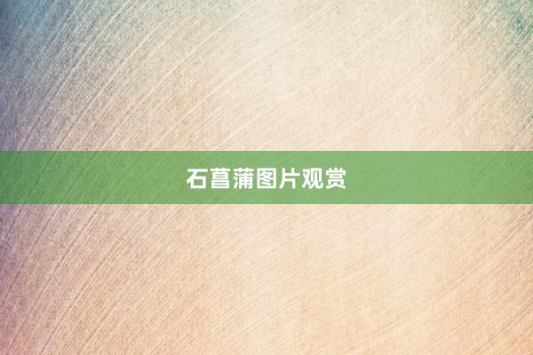 石菖蒲图片观赏